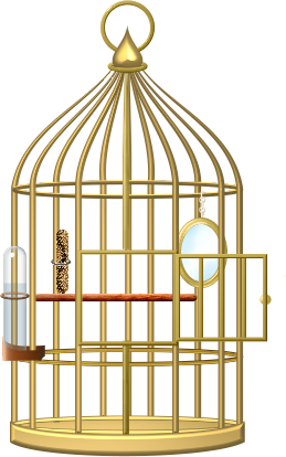 Cage bird PNG-41393